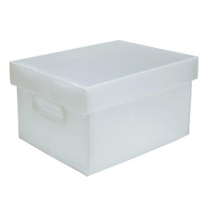 CAIXA ORGANIZADORA CRISTAL TAMANHO P POLIBRAS