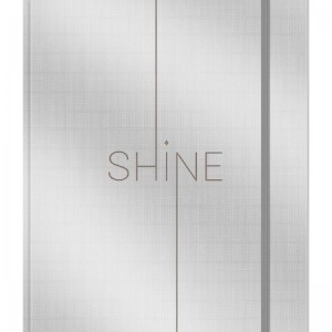 FICHÁRIO COLEGIAL CARTONADO COM ELÁSTICO SHINE FORONI