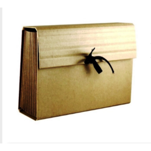 PASTA SANF. DUPLICATA 12 DIV JAN DEZ KRAFT DELUCAS