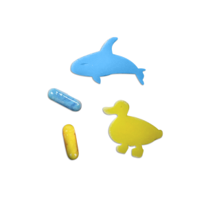 GIZ DE CERA RETRÁTIL 6 CORES PARA BANHO COLORJOY LEO&LEO JOCAR